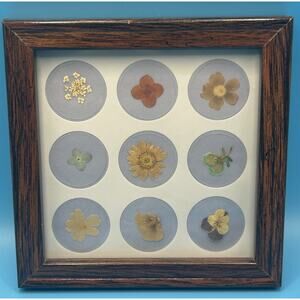 Vintage Small Dried Pressed Flowers In Frame Wall Hanging Decor 6” Square